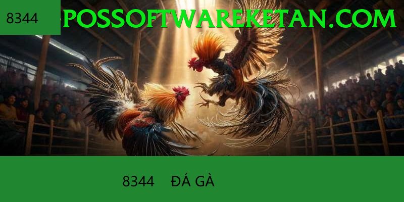 Đá Gà Trực Tiếp - luck8